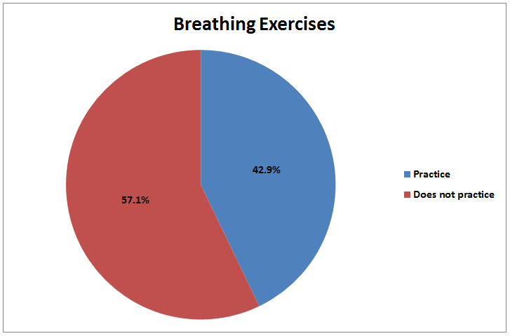 Pie Chart 4